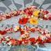 6829_0309.lennon