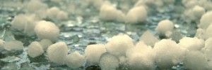 6961_hailstones 6961_hailstones