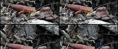 7001_2709.newt 7001_2709.newt