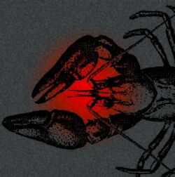 Crustacean