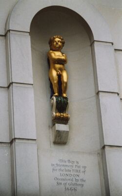 Golden Fat Boy