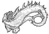 worm.jpg