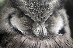 0110.zoo.jpg