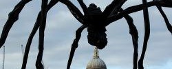7068_spider 7068_spider