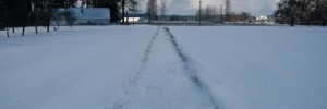 7152_path-to-the-cottage