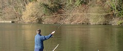 7167_2210.fish