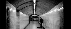 7199_2510.busker