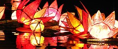 7231_2910.diwali 7231_2910.diwali