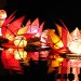 7231_2910.diwali