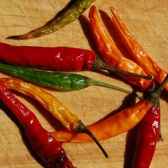 chillis.jpg