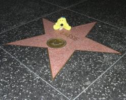 lassie%283%29.jpg