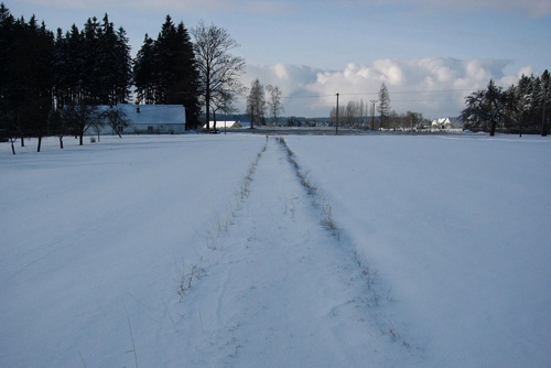 path-to-the-cottage.jpg