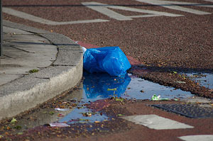 0811_plastic.jpg