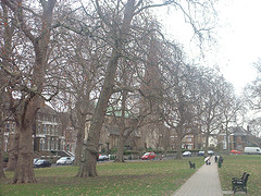 2511.dulwich.jpg