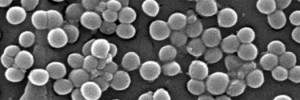 7264_know_your_enemy