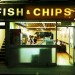 7301_0611_fish 7301_0611_fish