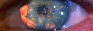 7422_bladerunner