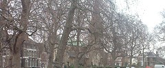7427_2511.dulwich