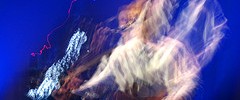 7445_2711.macca