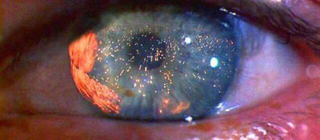 Blade Runner