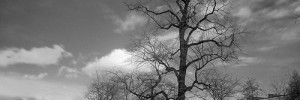 7497_0412.extra 7497_0412.extra