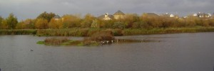 7527_PEACEANDQUIET 7527_PEACEANDQUIET