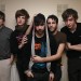 7538_foals 7538_foals