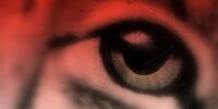 7583_catseye 7583_catseye