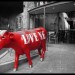 7597_HinduCowKilled