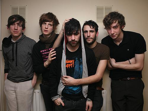 foals.jpg