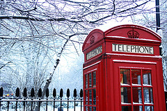 snow_161207.jpg