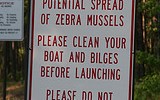 7747_1101.mussel 7747_1101.mussel