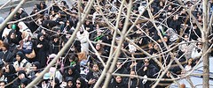 7794_1701.ashura