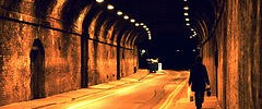 7807_walk_alone_200108 7807_walk_alone_200108