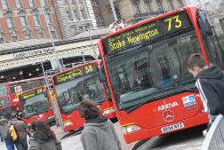 buses%282%29.jpg