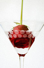 1502martinirose.jpg