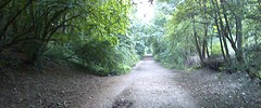 7957_0702.walk