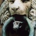 8052_Roar