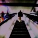8066_escalator