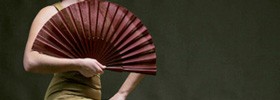 8107_Flamenco
