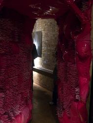 vulva%282%29.jpg
