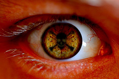 0603eyeball.jpg