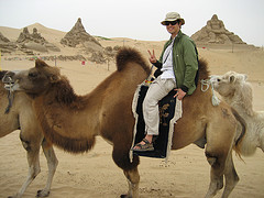 1003camel.jpg