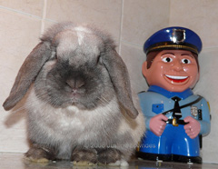 1703potsmokingcop.jpg