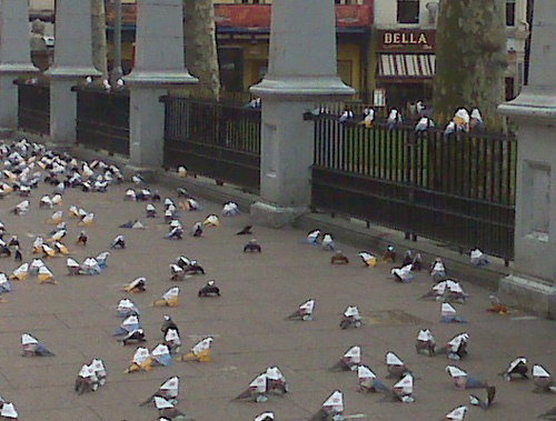 paper pigeons in leicester square 2703-origami-birds-in-leicester-sq.jpg