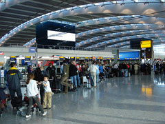 Terminal 5 queues