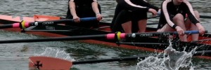 8156_WEHORR08b
