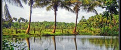8168_0301_kerala2