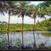 8168_0301_kerala2 8168_0301_kerala2