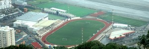 8181_Gib02